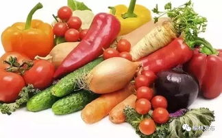 靖邊蔬菜節即將來襲 花卉主題活動全知道